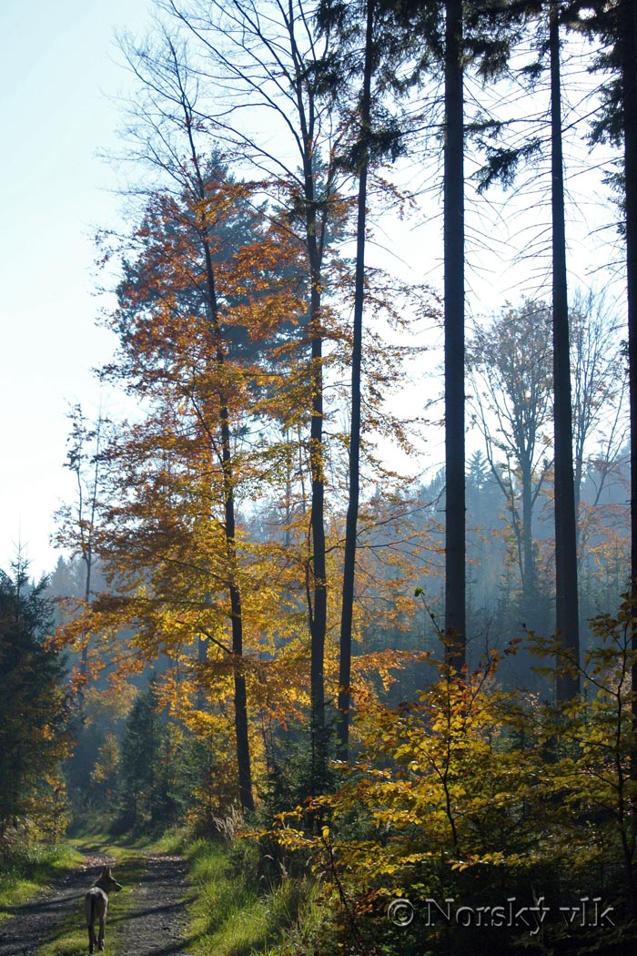 DSC_7104e