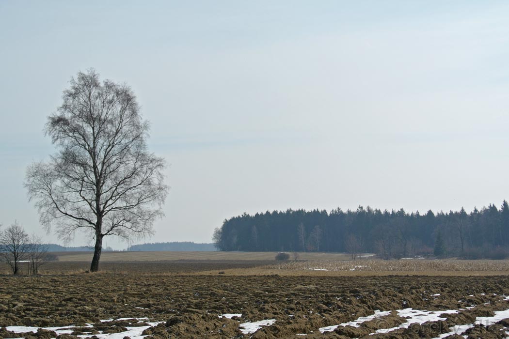 DSC_1587e