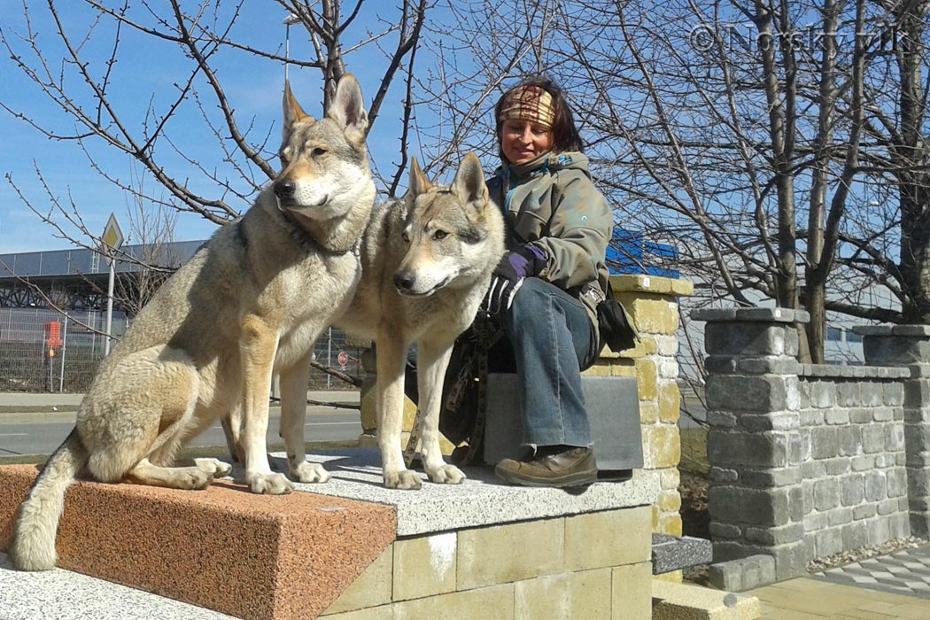 20130324_113023e