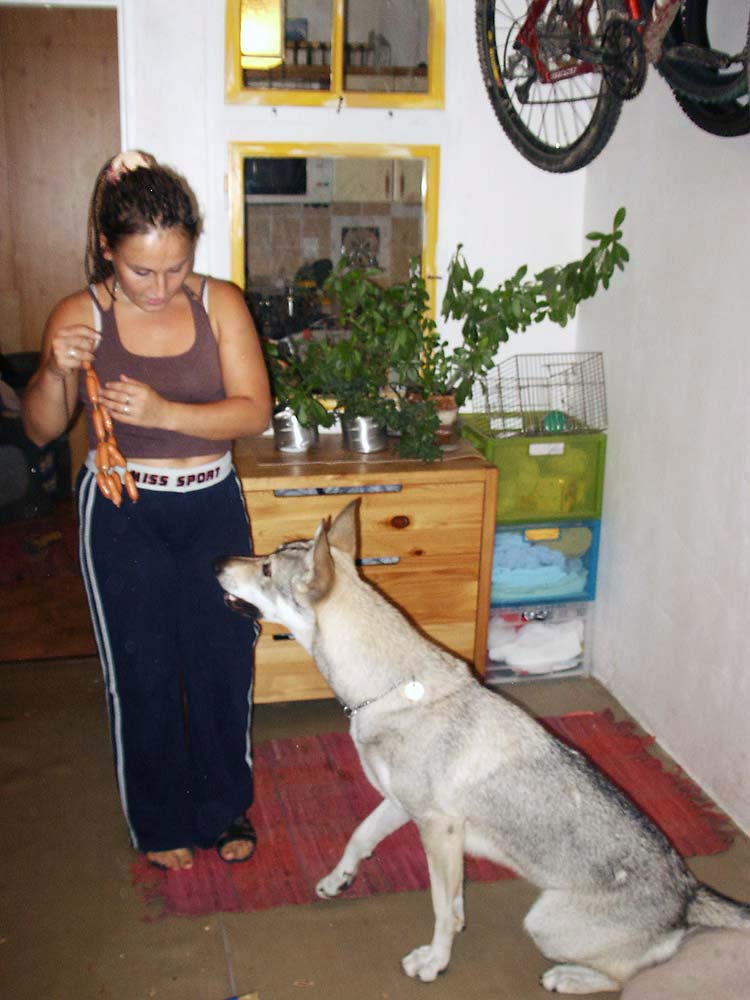 PICT4174e.jpg