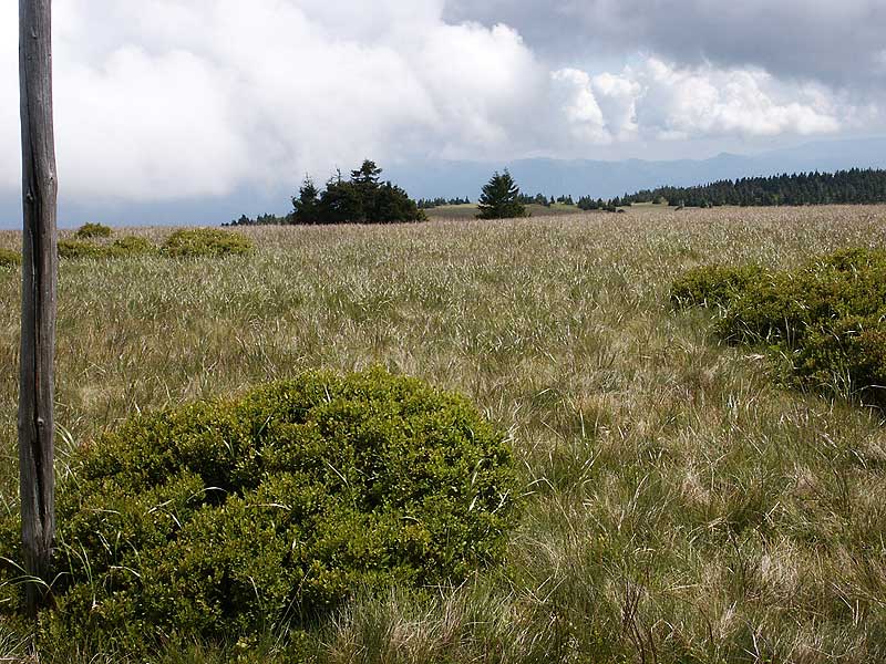 PICT3952e.jpg