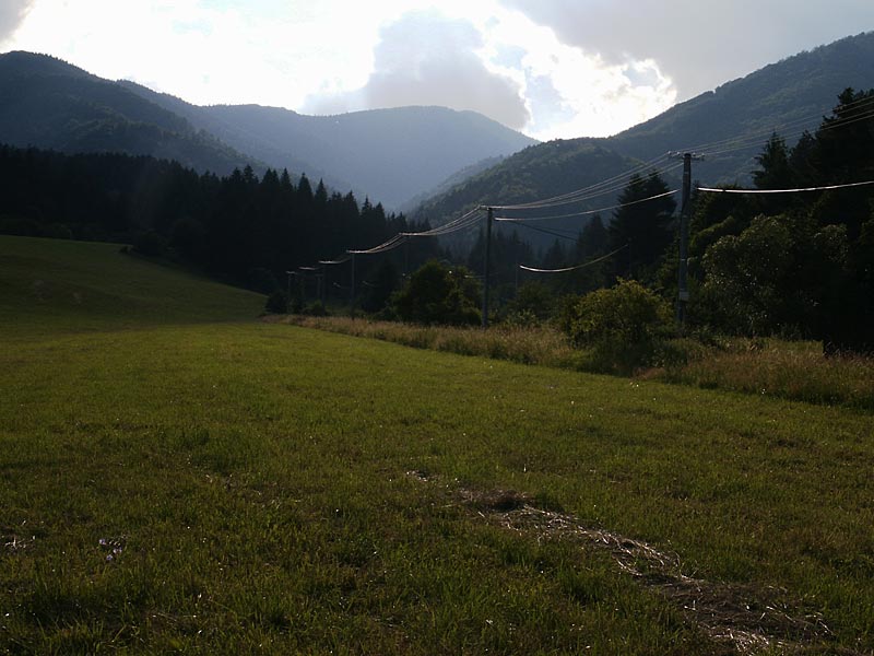 PICT3978e.jpg