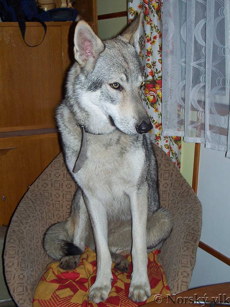 100_8648e.jpg