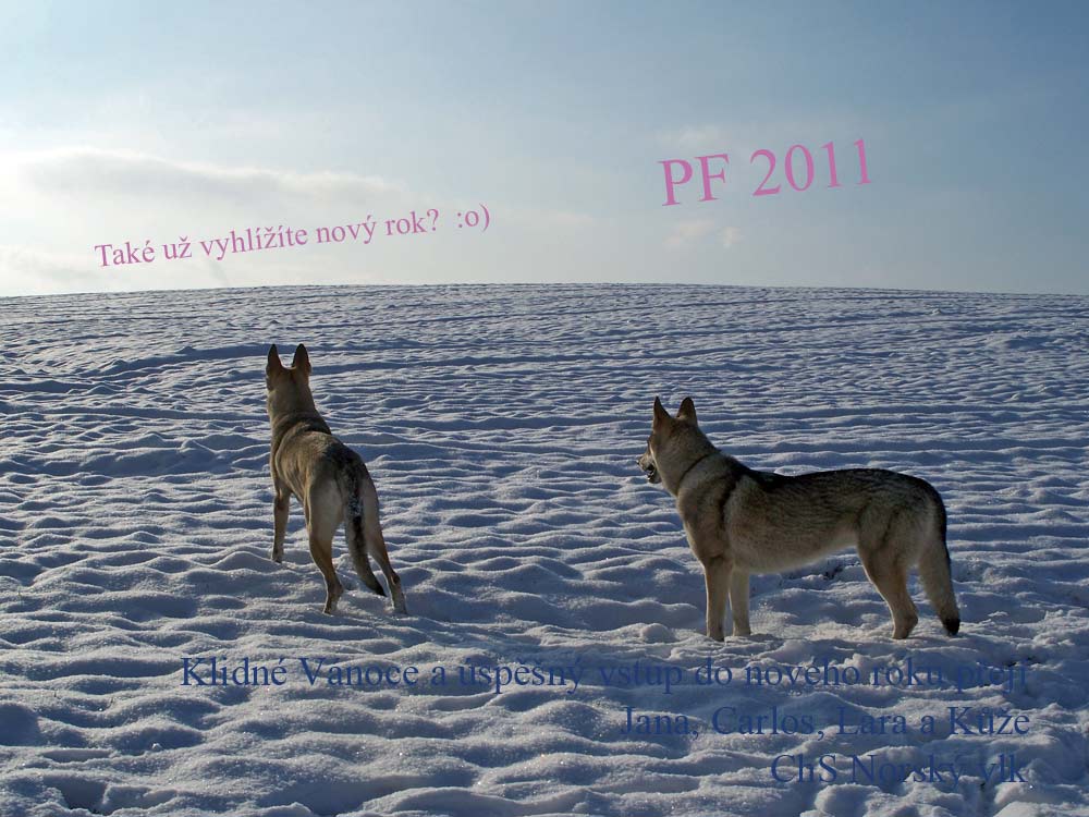 PF2011web