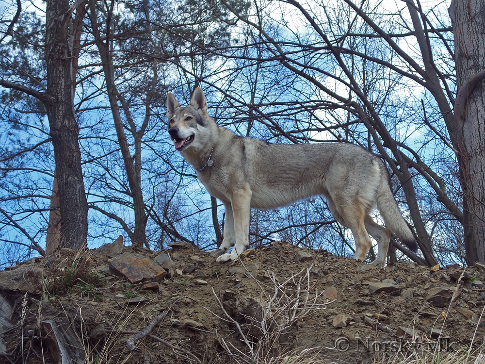 100_2592e
