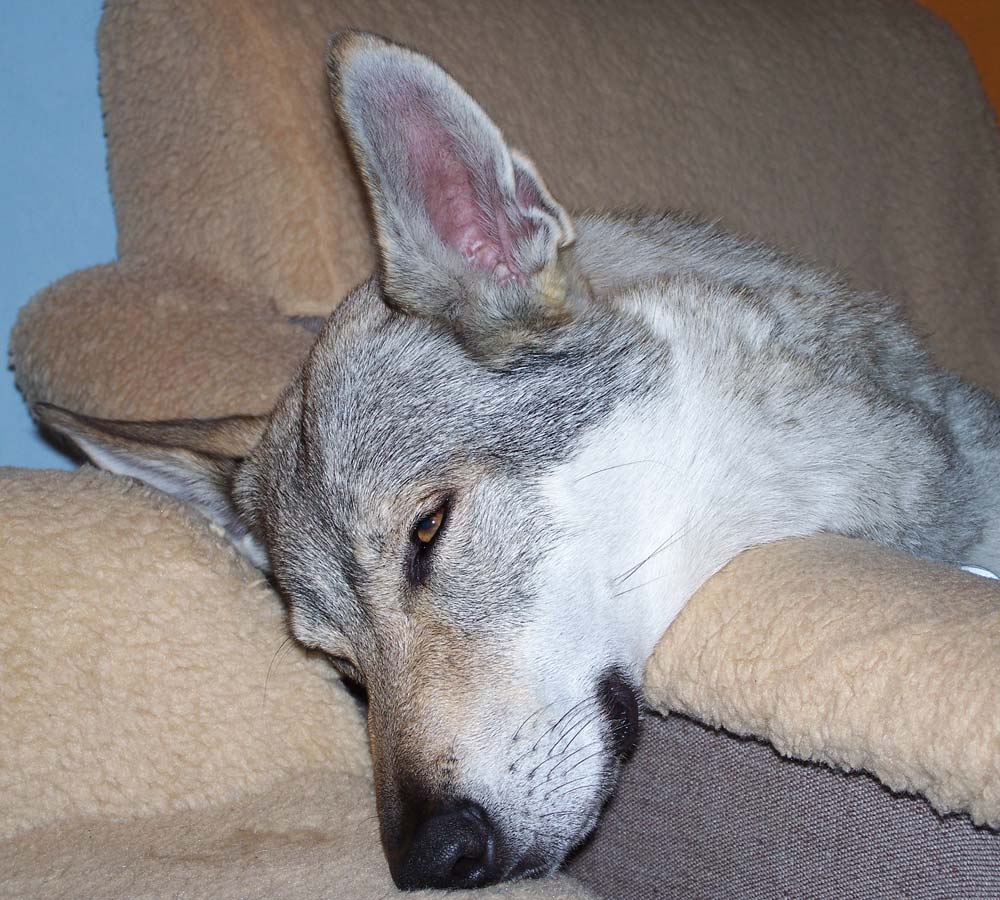 100_8300e.jpg