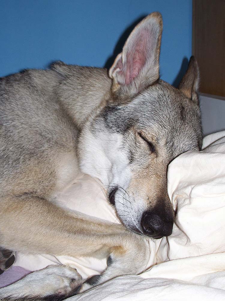 100_8263e.jpg